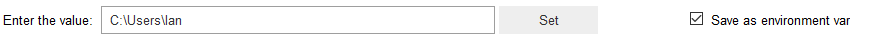 Text widget showing retrieving editable value of an environment variable.
