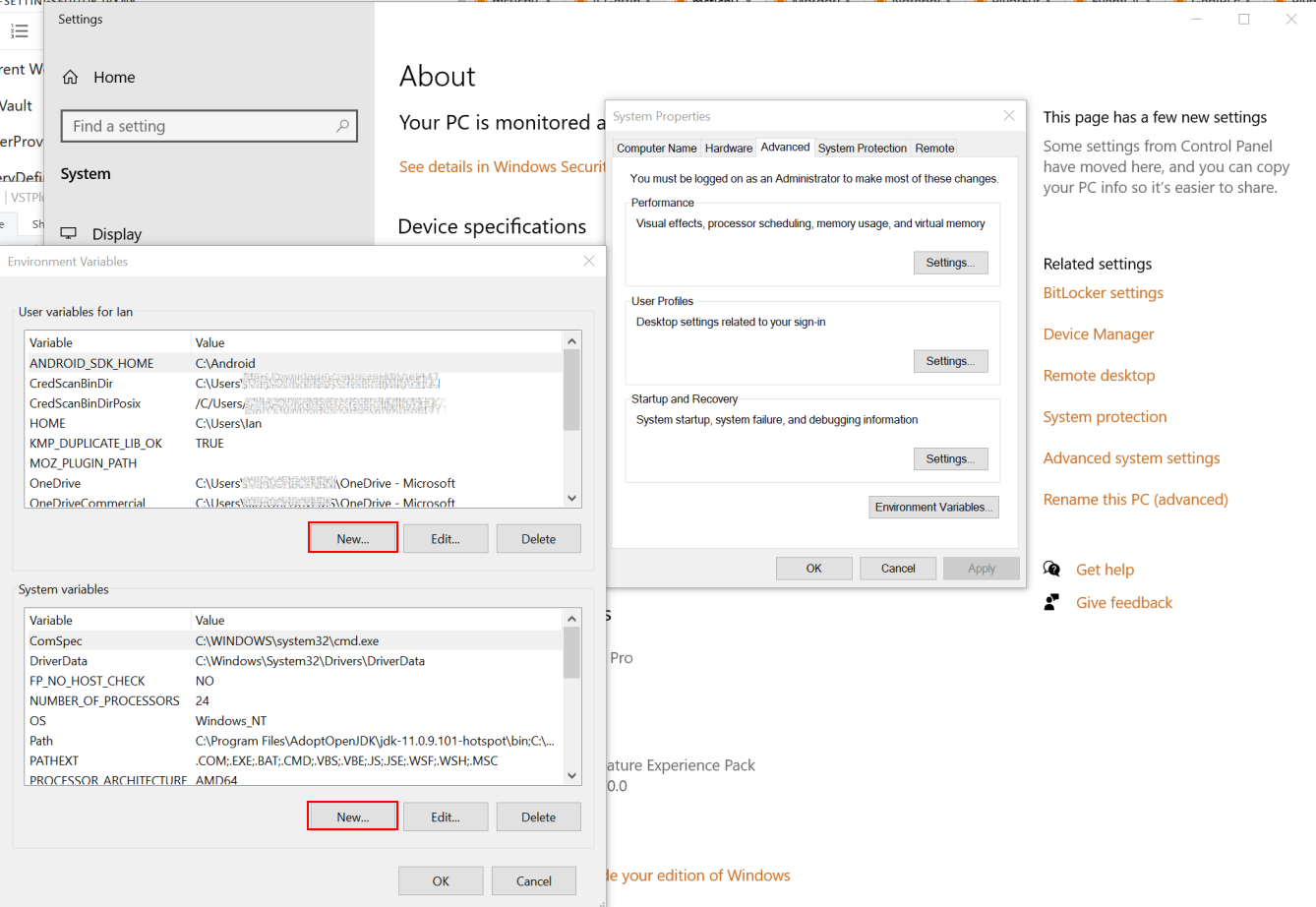 Setting an environment variable in Windows